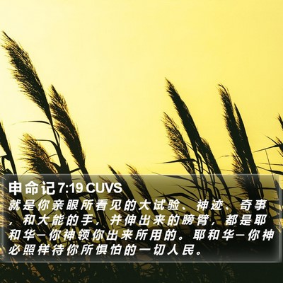 申 命 记 7:19 CUVS Bible Verse Image