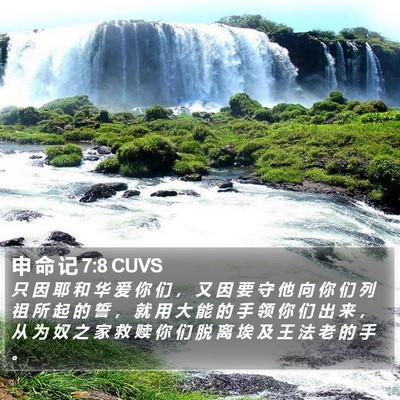 申 命 记 7:8 CUVS Bible Verse Image
