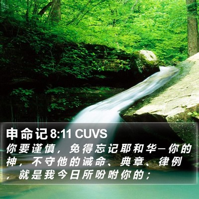 申 命 记 8:11 CUVS Bible Verse Image