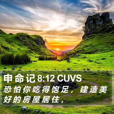 申 命 记 8:12 CUVS Bible Verse Image