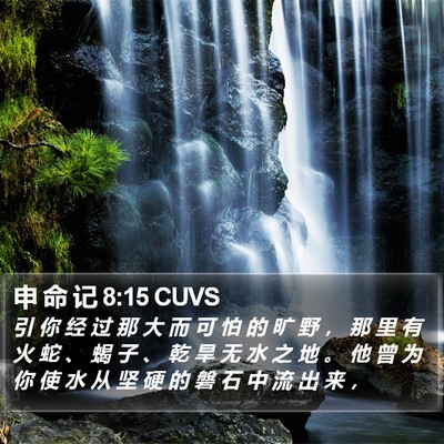 申 命 记 8:15 CUVS Bible Verse Image