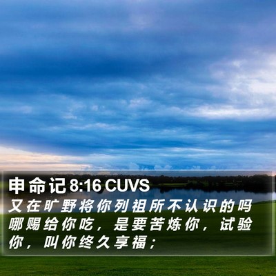 申 命 记 8:16 CUVS Bible Verse Image