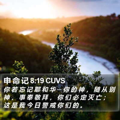 申 命 记 8:19 CUVS Bible Verse Image