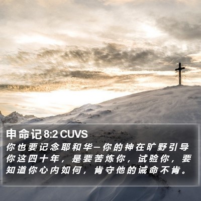 申 命 记 8:2 CUVS Bible Verse Image