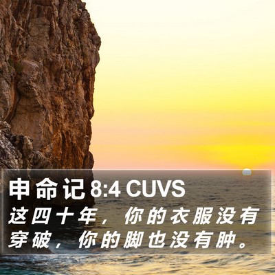 申 命 记 8:4 CUVS Bible Verse Image