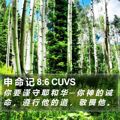 申 命 记 8:6 CUVS Bible Verse Image