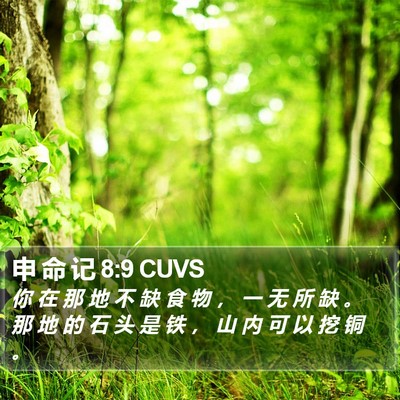申 命 记 8:9 CUVS Bible Verse Image