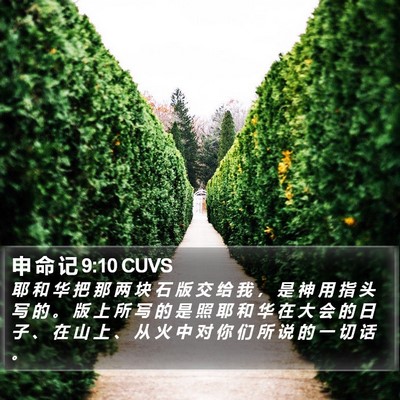申 命 记 9:10 CUVS Bible Verse Image