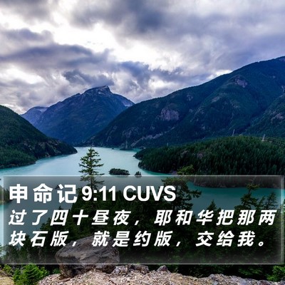 申 命 记 9:11 CUVS Bible Verse Image