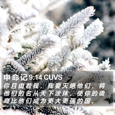 申 命 记 9:14 CUVS Bible Verse Image