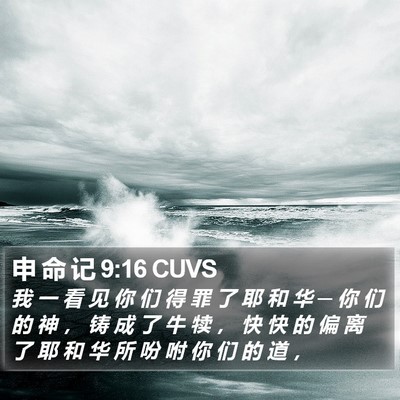 申 命 记 9:16 CUVS Bible Verse Image