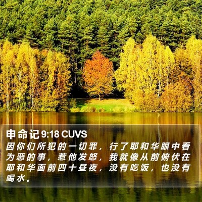 申 命 记 9:18 CUVS Bible Verse Image