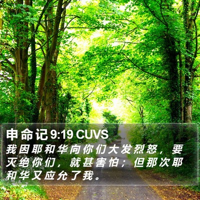 申 命 记 9:19 CUVS Bible Verse Image