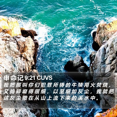申 命 记 9:21 CUVS Bible Verse Image
