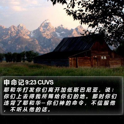 申 命 记 9:23 CUVS Bible Verse Image