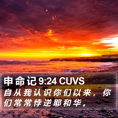 申 命 记 9:24 CUVS Bible Verse Image