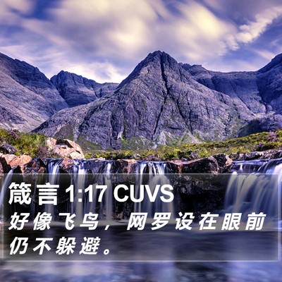 箴 言 1:17 CUVS Bible Verse Image
