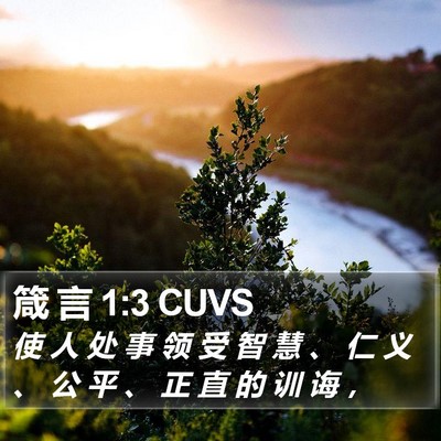 箴 言 1:3 CUVS Bible Verse Image
