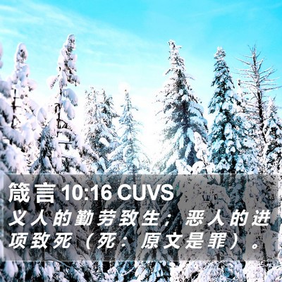 箴 言 10:16 CUVS Bible Verse Image