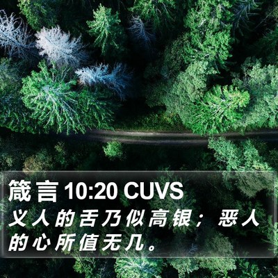 箴 言 10:20 CUVS Bible Verse Image