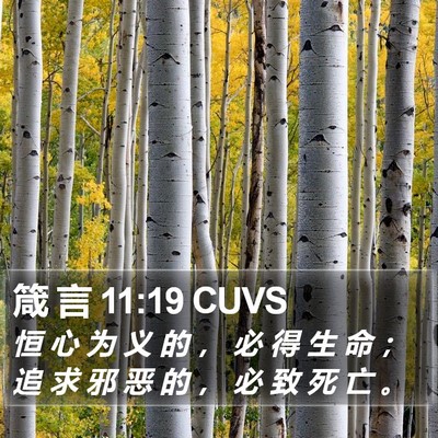 箴 言 11:19 CUVS Bible Verse Image