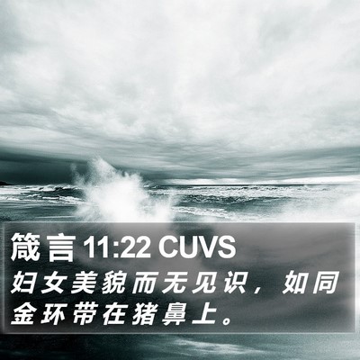 箴 言 11:22 CUVS Bible Verse Image