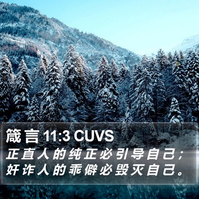箴 言 11:3 CUVS Bible Verse Image