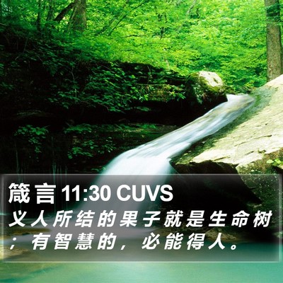 箴 言 11:30 CUVS Bible Verse Image