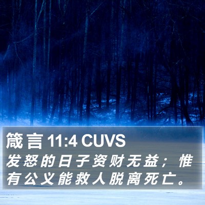 箴 言 11:4 CUVS Bible Verse Image