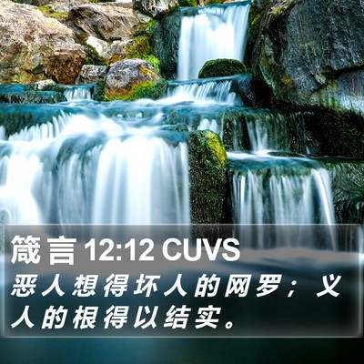 箴 言 12:12 CUVS Bible Verse Image