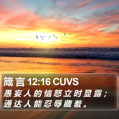 箴 言 12:16 CUVS Bible Verse Image