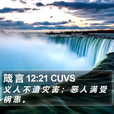 箴 言 12:21 CUVS Bible Verse Image