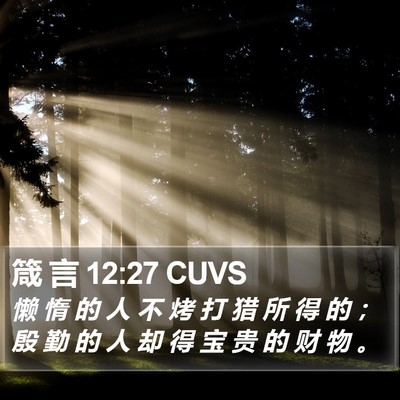 箴 言 12:27 CUVS Bible Verse Image