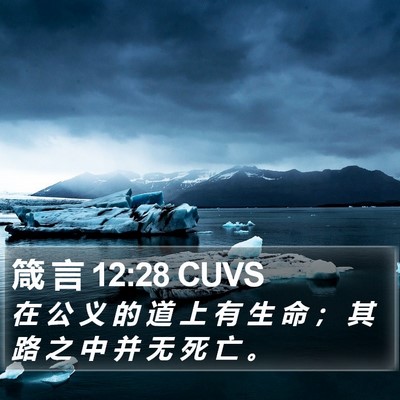 箴 言 12:28 CUVS Bible Verse Image
