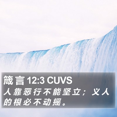箴 言 12:3 CUVS Bible Verse Image