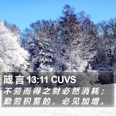 箴 言 13:11 CUVS Bible Verse Image