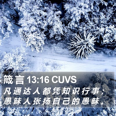箴 言 13:16 CUVS Bible Verse Image