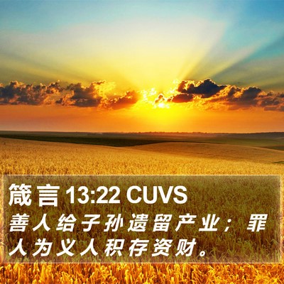箴 言 13:22 CUVS Bible Verse Image