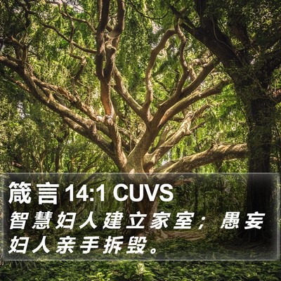 箴 言 14:1 CUVS Bible Verse Image