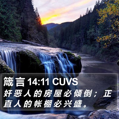 箴 言 14:11 CUVS Bible Verse Image