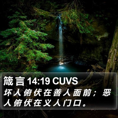 箴 言 14:19 CUVS Bible Verse Image