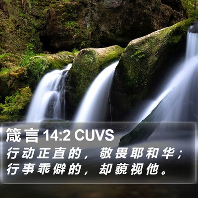 箴 言 14:2 CUVS Bible Verse Image