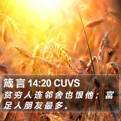 箴 言 14:20 CUVS Bible Verse Image