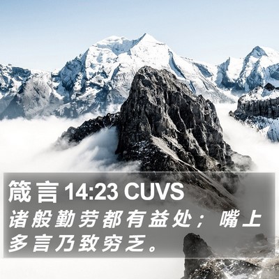 箴 言 14:23 CUVS Bible Verse Image