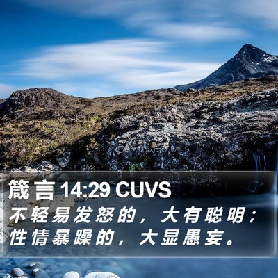 箴 言 14:29 CUVS Bible Verse Image
