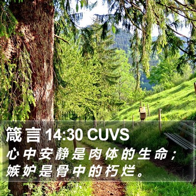 箴 言 14:30 CUVS Bible Verse Image