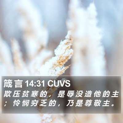 箴 言 14:31 CUVS Bible Verse Image