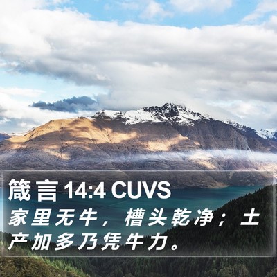 箴 言 14:4 CUVS Bible Verse Image