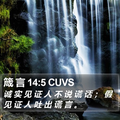 箴 言 14:5 CUVS Bible Verse Image