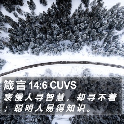 箴 言 14:6 CUVS Bible Verse Image
